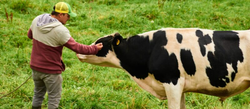 sebastian-tovar-azJR_we2qzM-unsplash